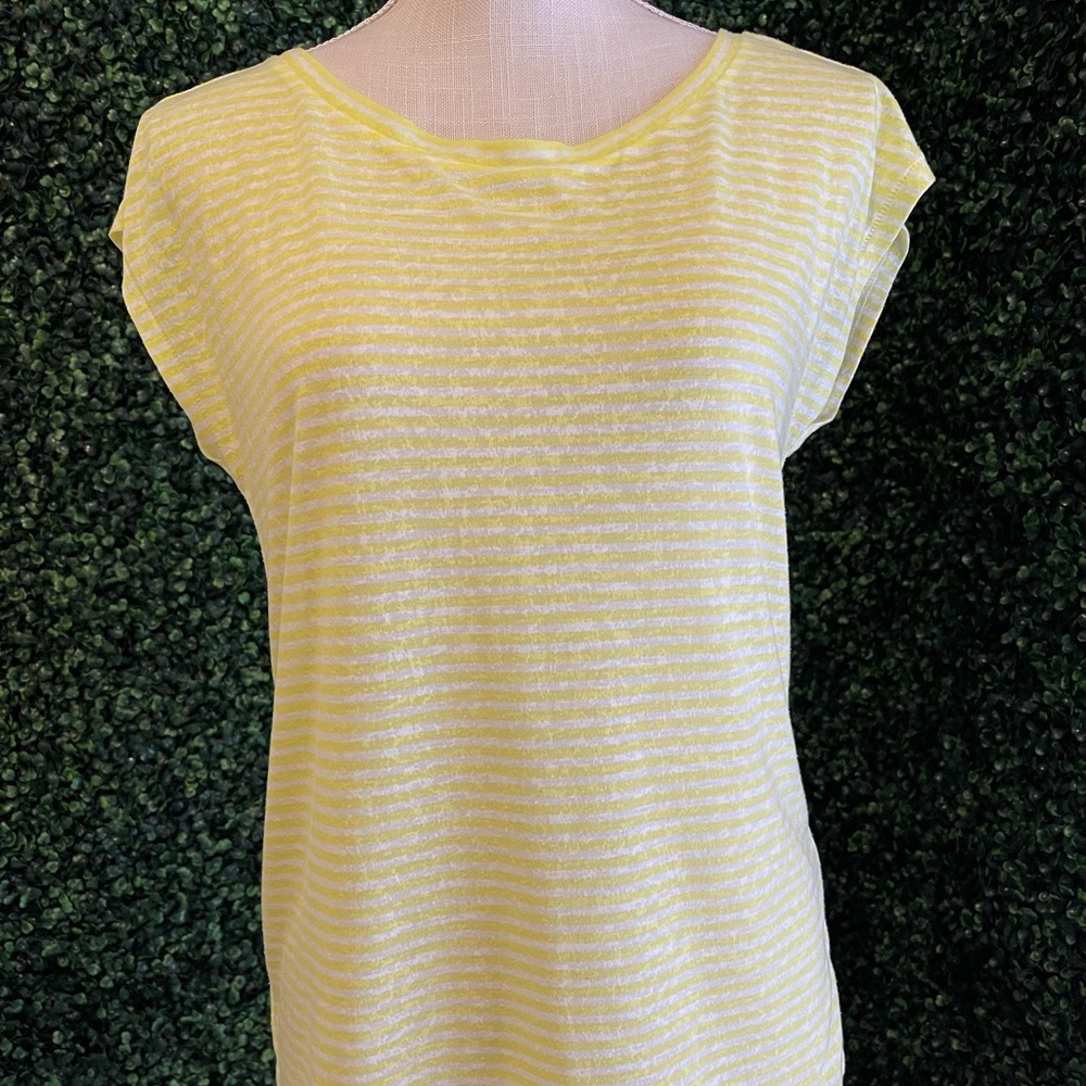 Ann Taylor Loft Shirt